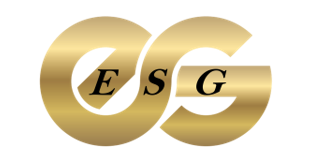 Engineering Solutions Group